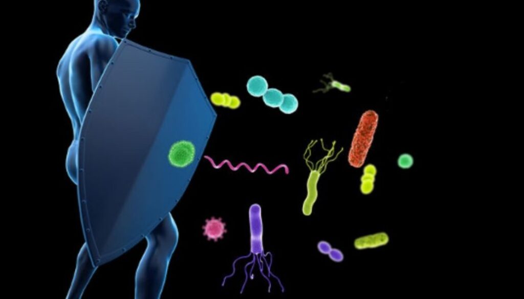 immune gmi