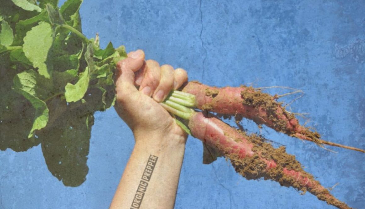 garden revolt