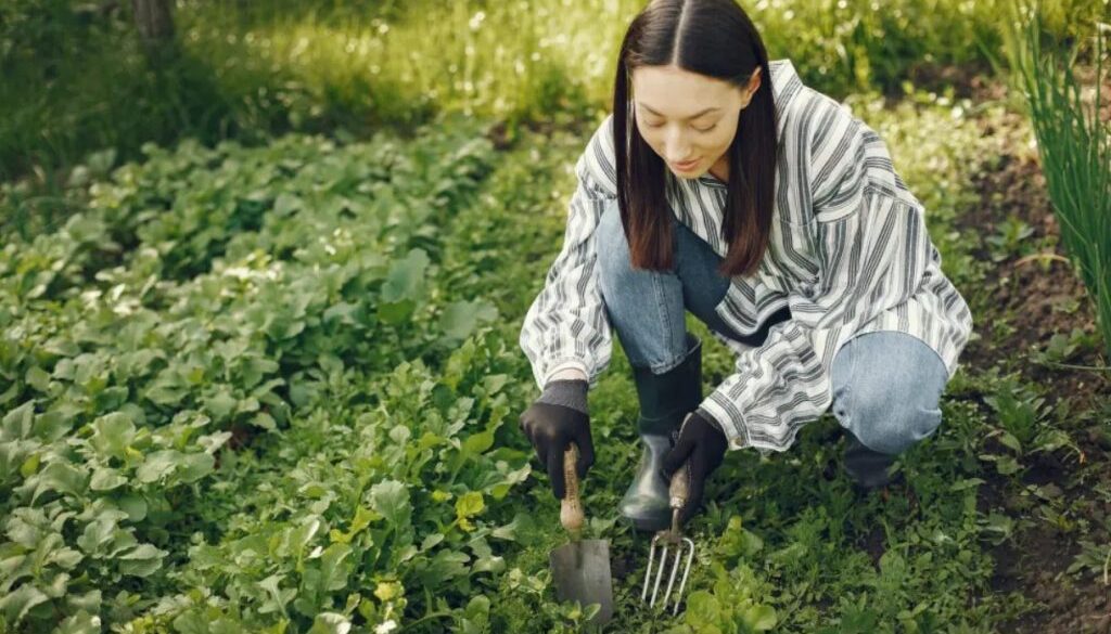 green thumb pexels