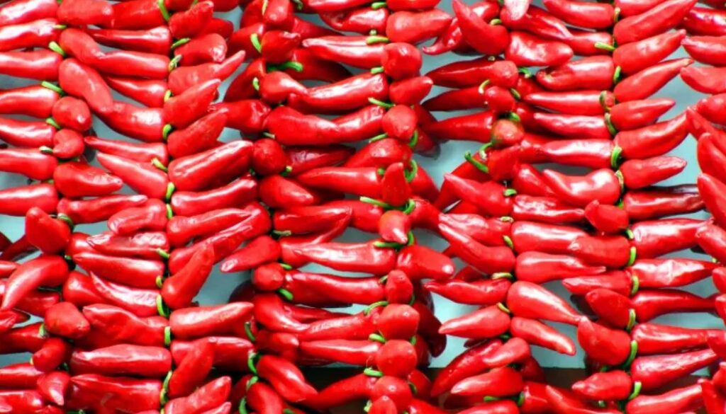 chili peppers sf
