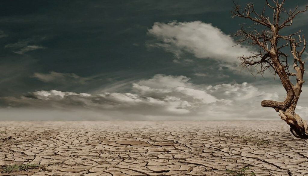 drought ecb sn