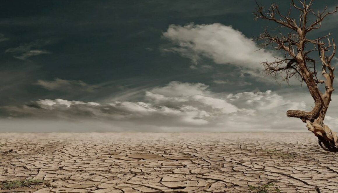 drought ecb sn