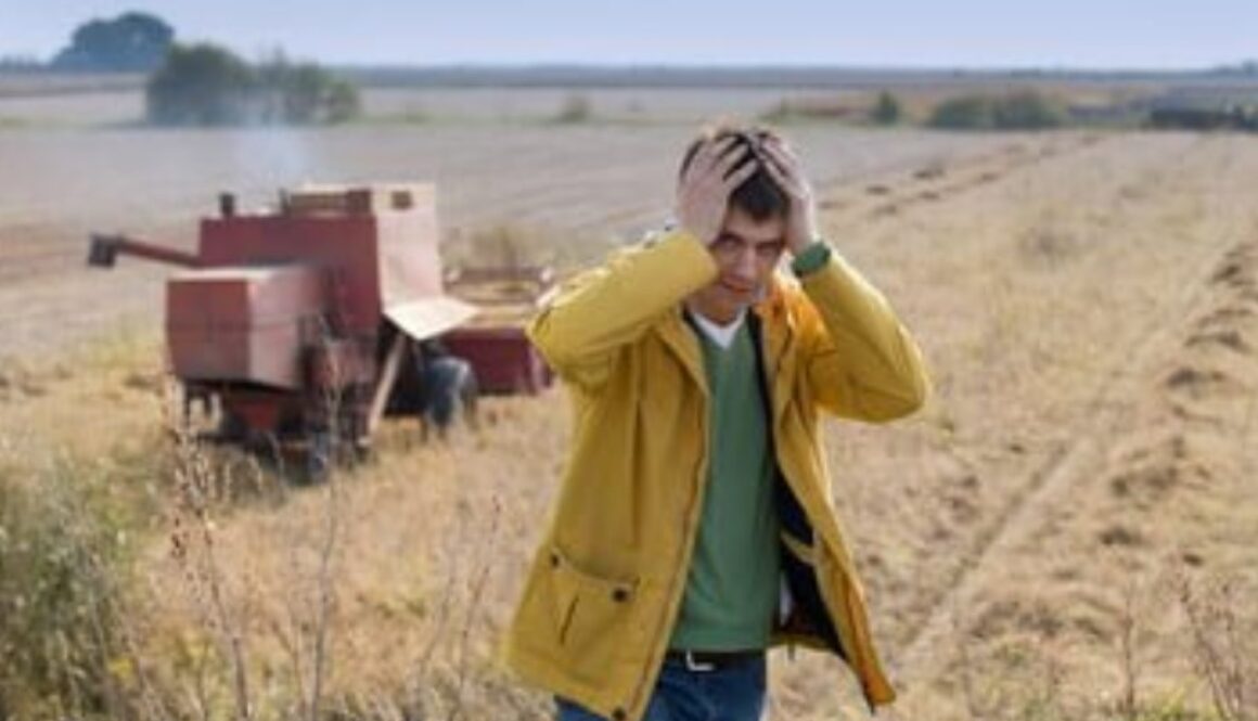 farmland