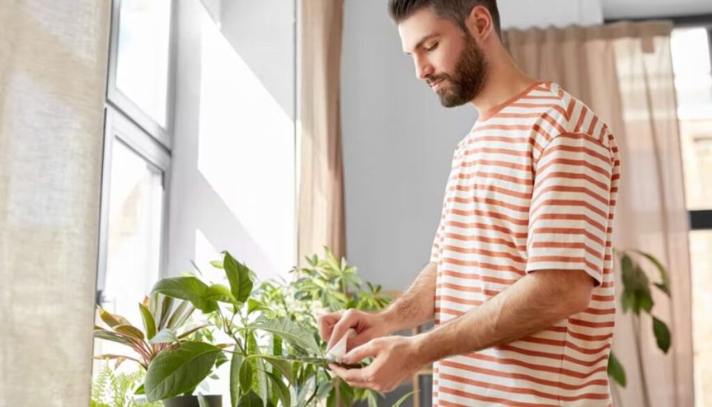 houseplant health