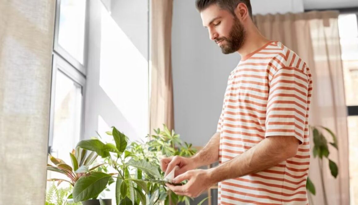 houseplant health