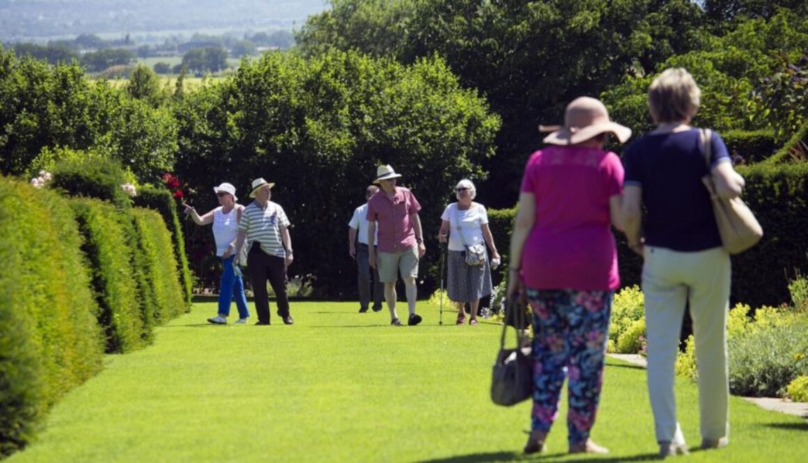 aging wellness