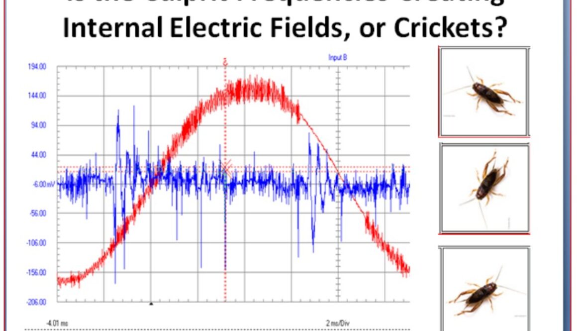 crick 1