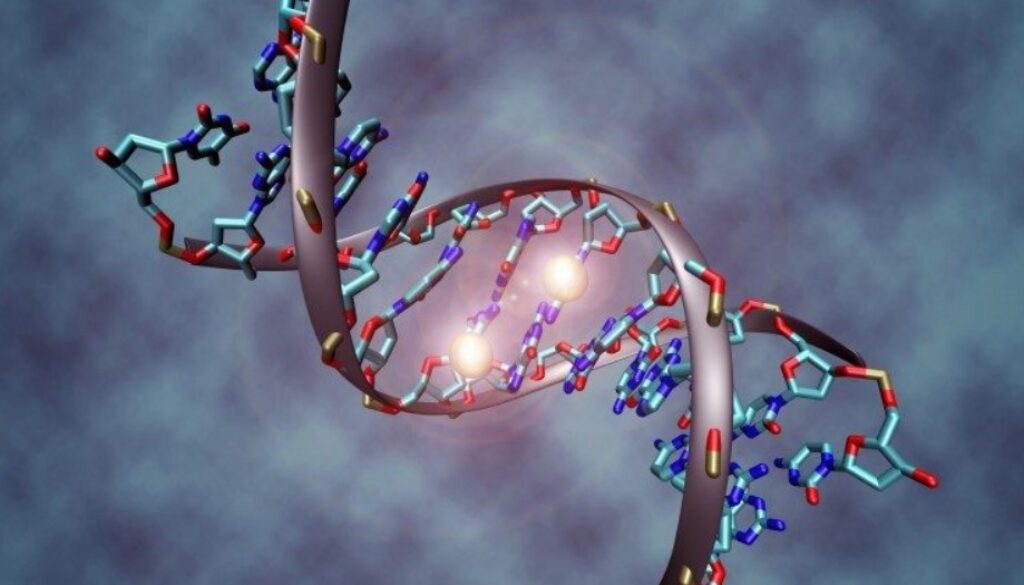 genetic engineering wikimedia