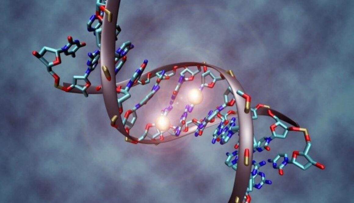 genetic engineering wikimedia