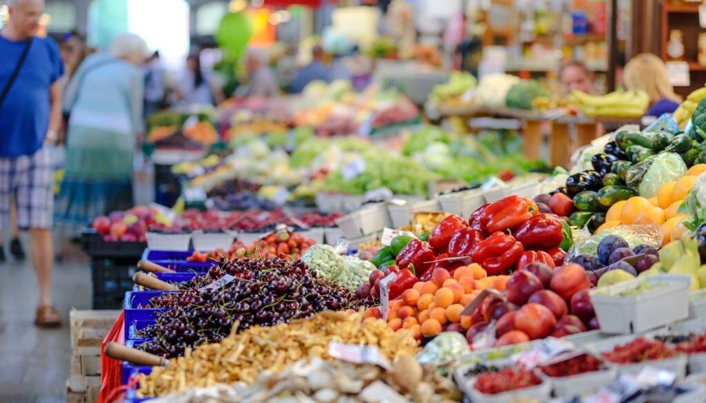 nutrition market elderly