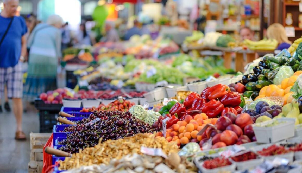 nutrition market elderly