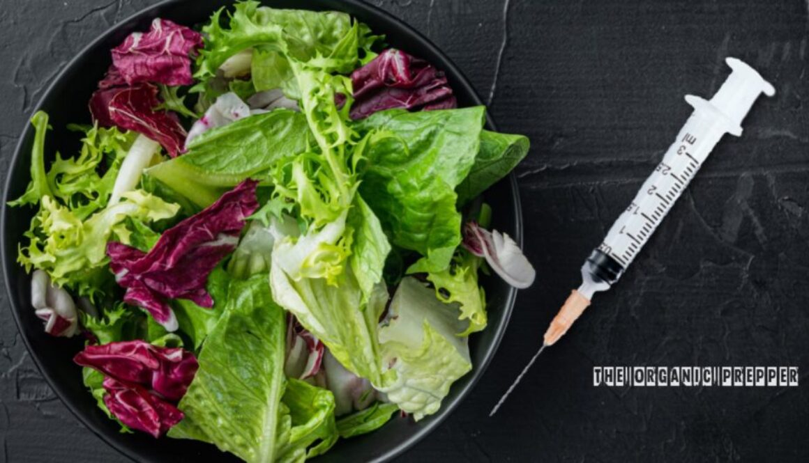mrna lettuce op