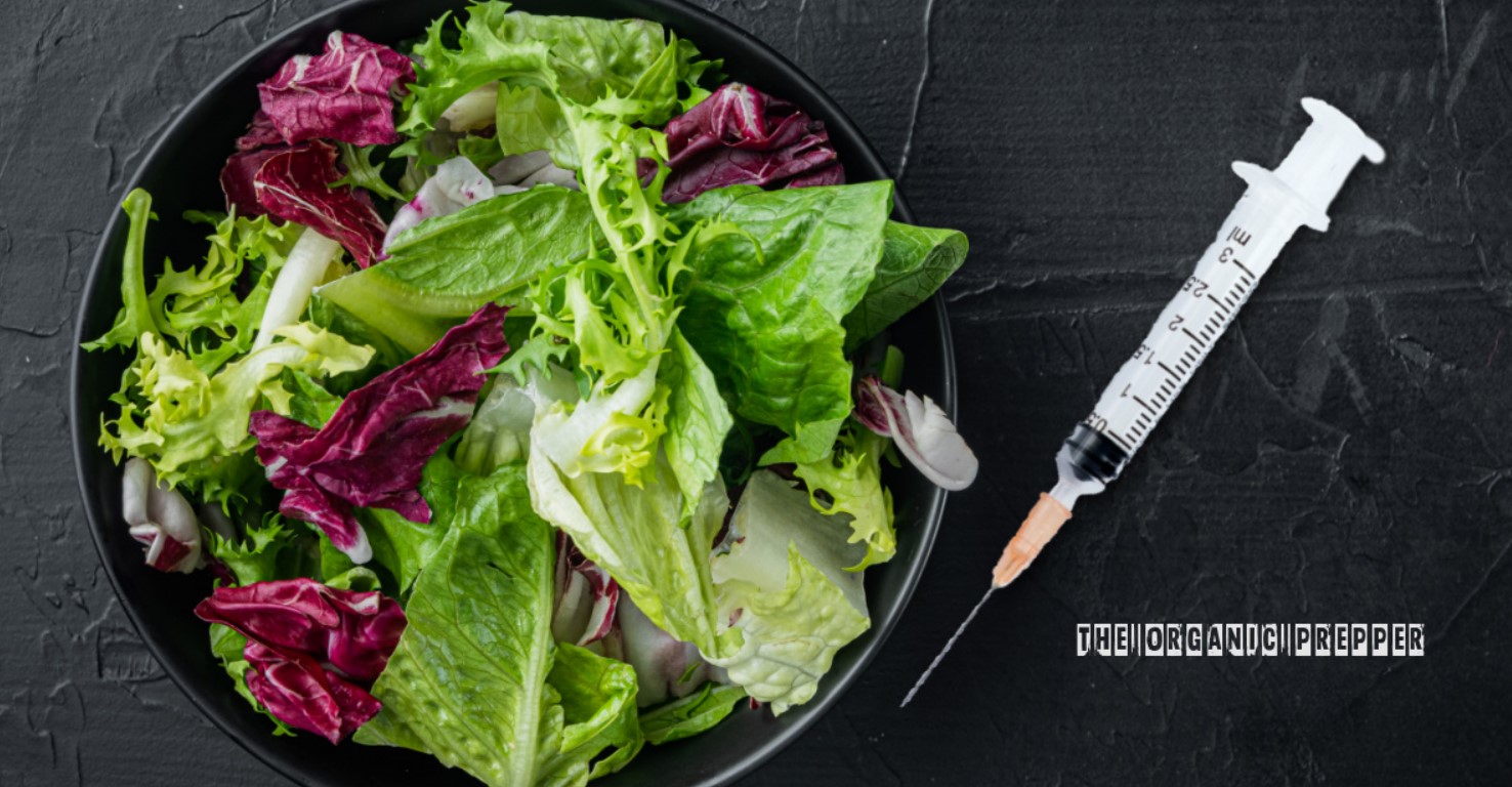 mrna lettuce op mrna lettuce op