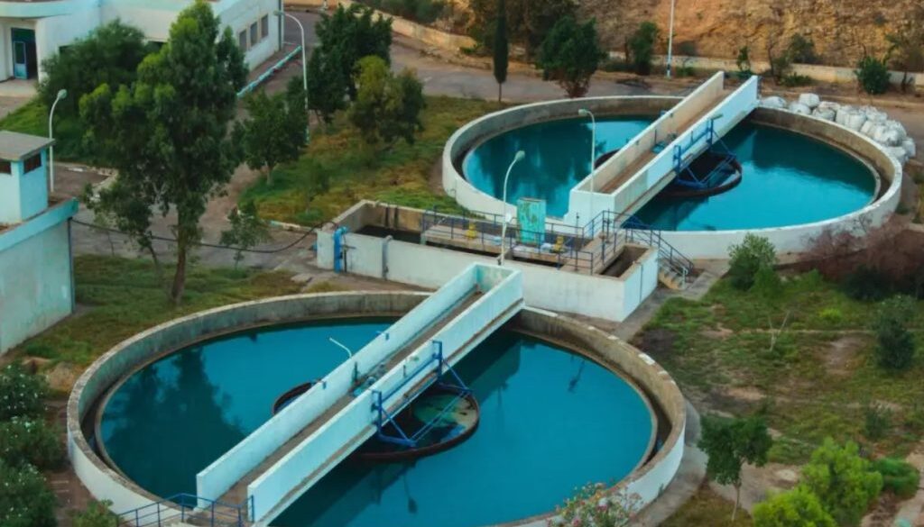 sewage sf
