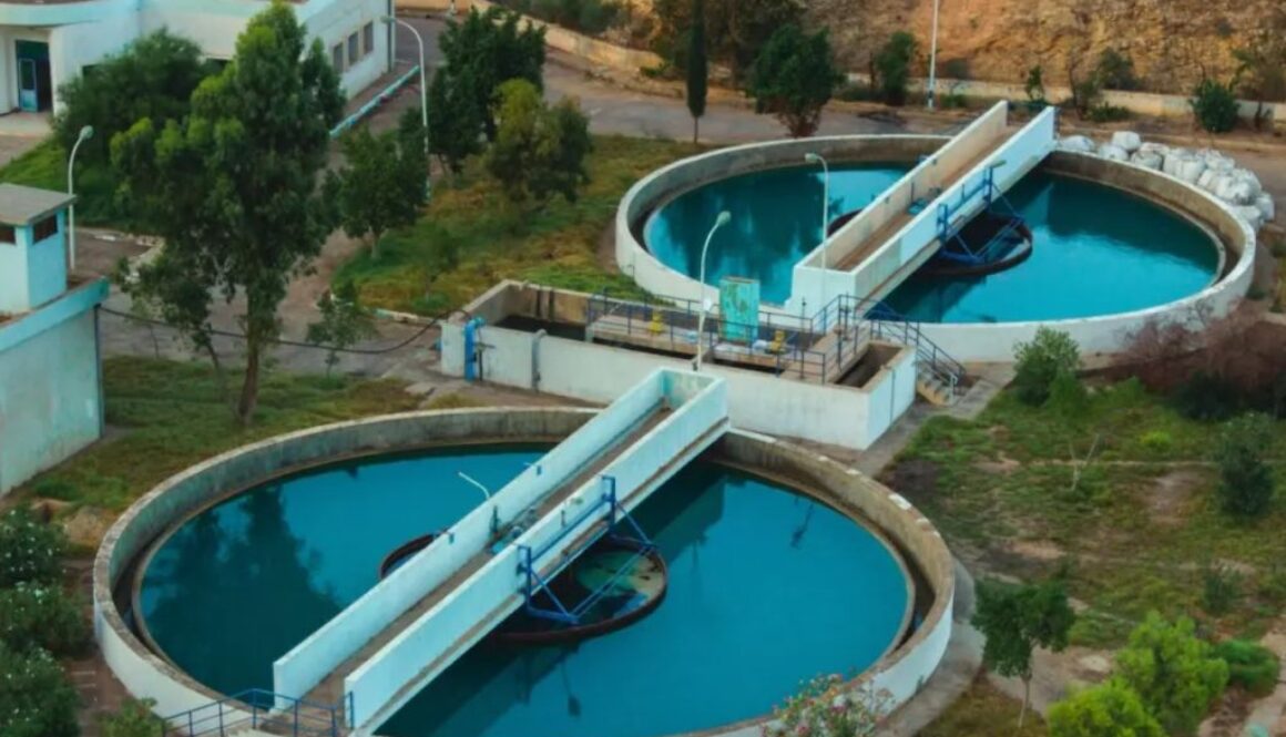 sewage sf