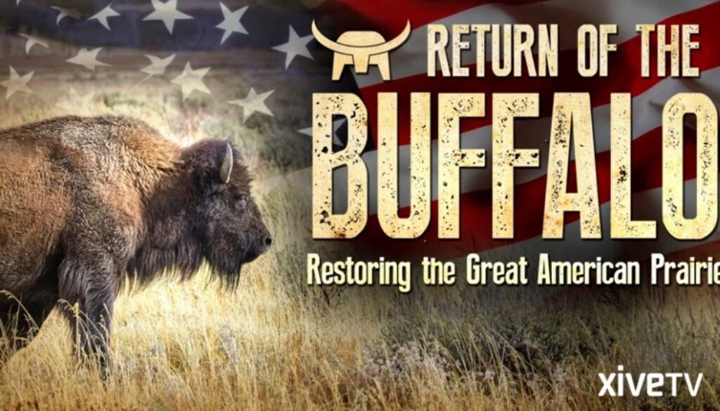 buffalo return