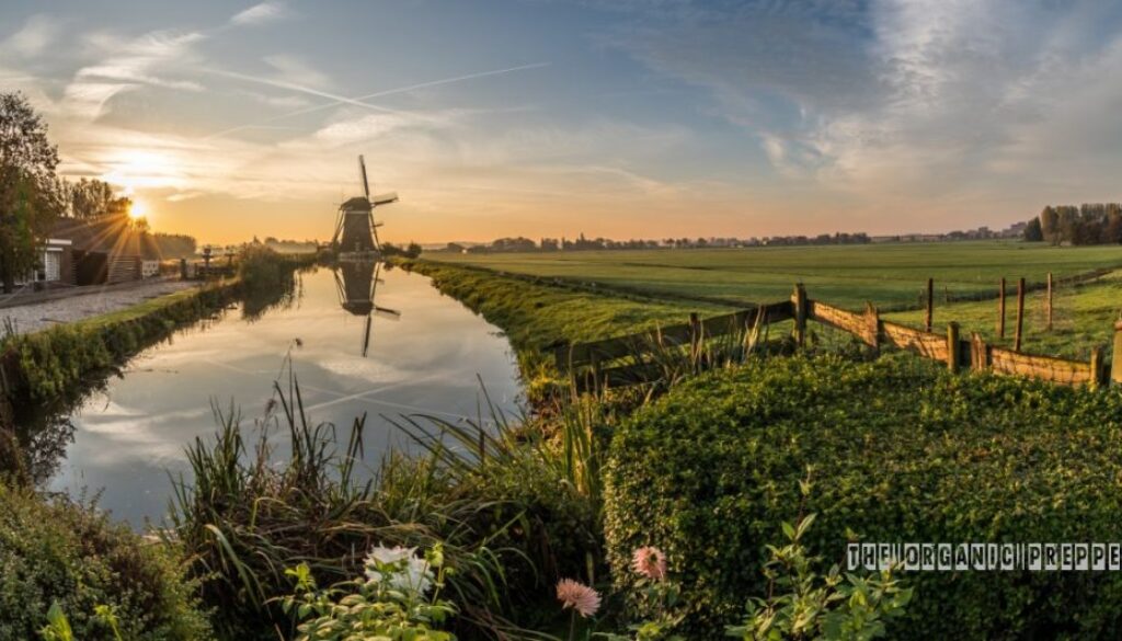 dutch farms op