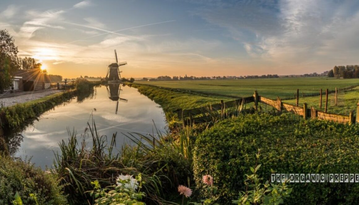 dutch farms op