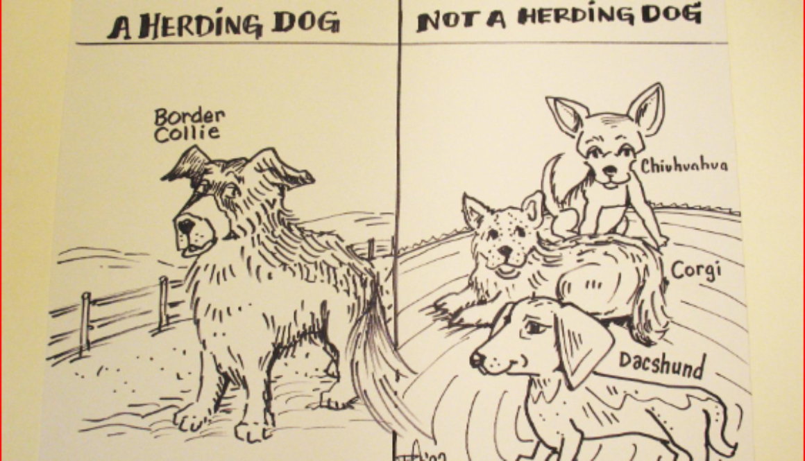 flo-dogs
