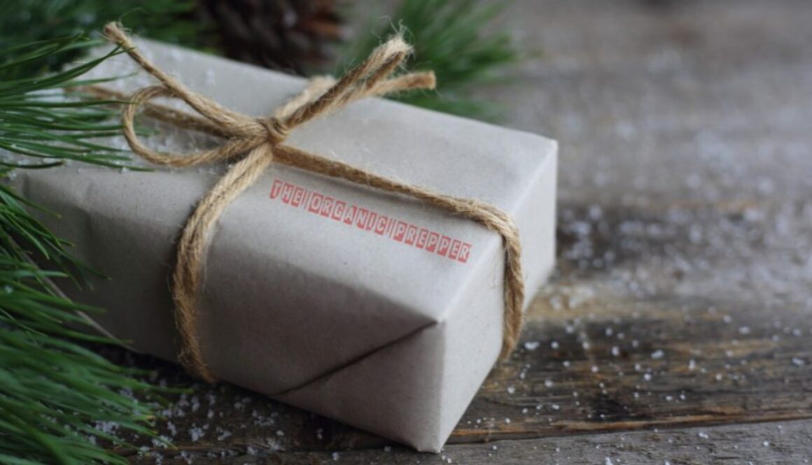 frugal xmas