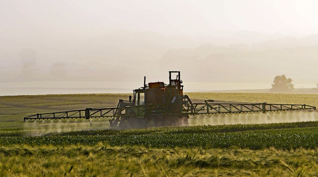 glyphosate glyphosate
