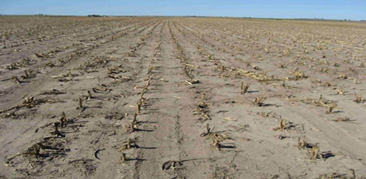 agri agri