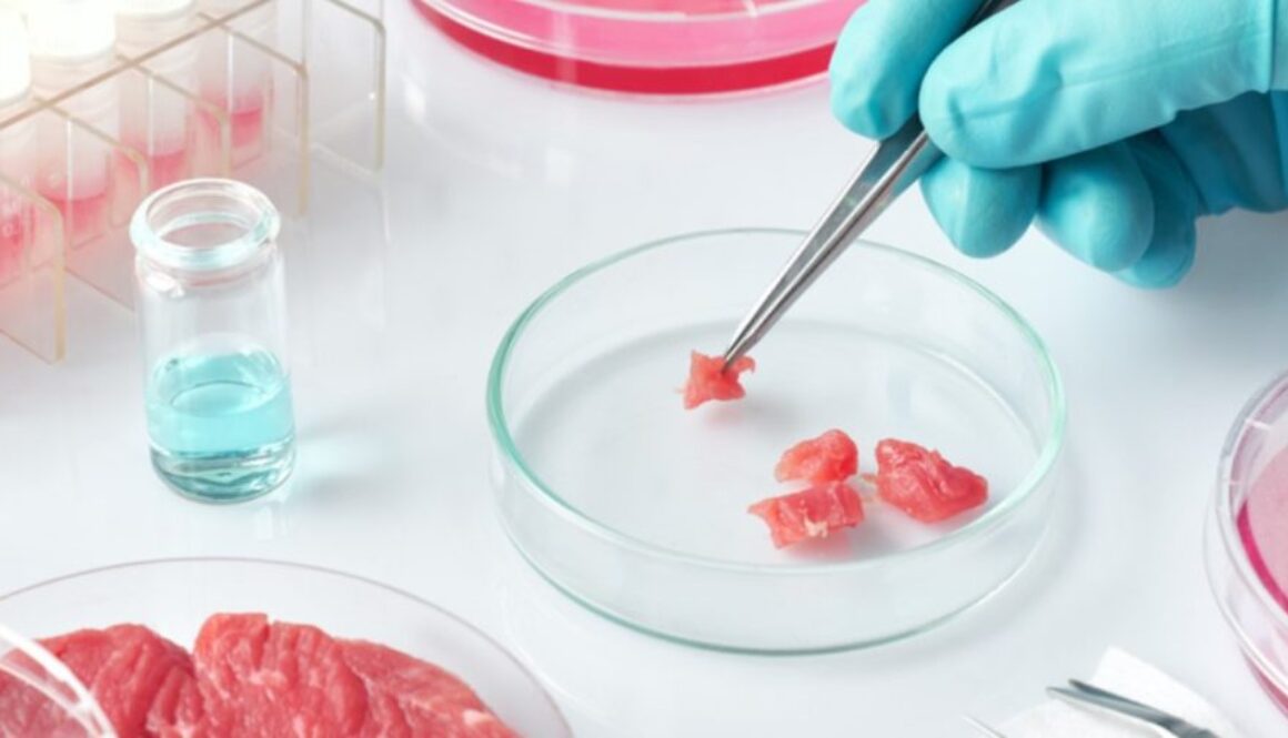 biotech meat