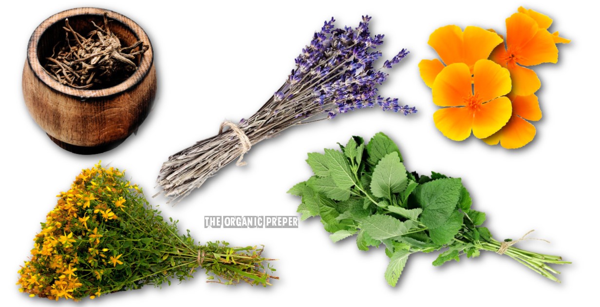 herbs op herbs op