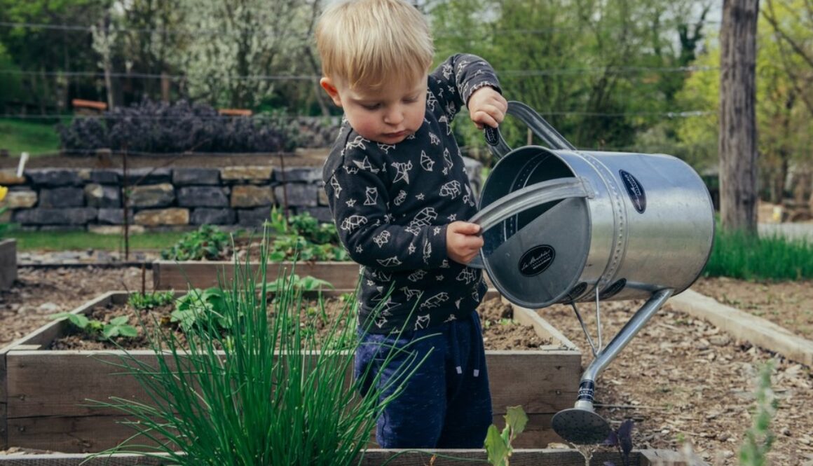 kid garden
