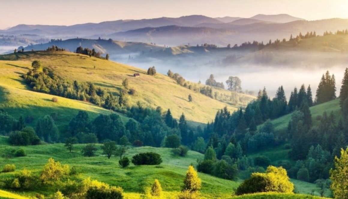 land unenvironment