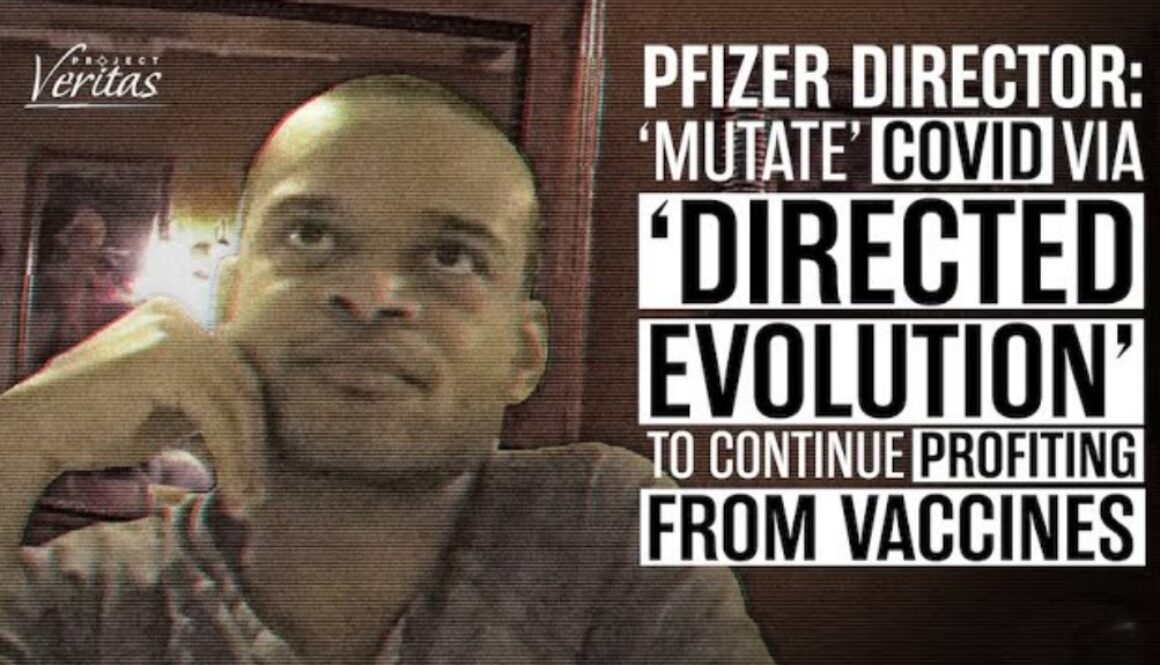 pfizer director