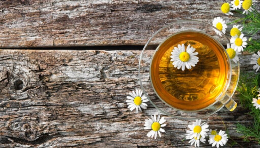 chamomile oil gmi