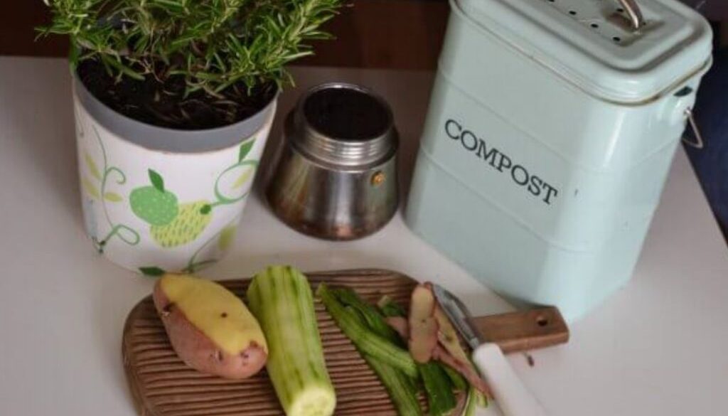 compost unsplash