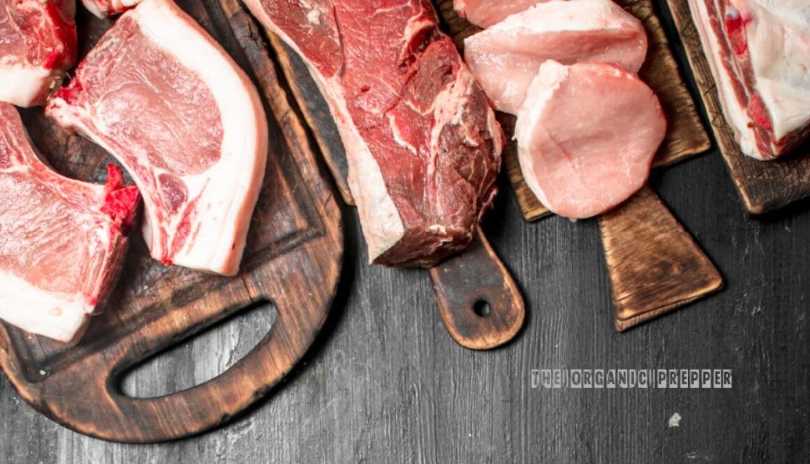 fake-meat-fails