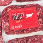 Desperate Lab-Grown Meat Industry Claims It Needs Government Subsidies to Survive