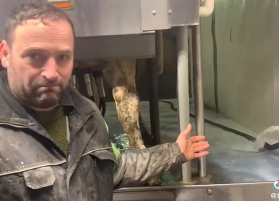 farmer milk farmer milk