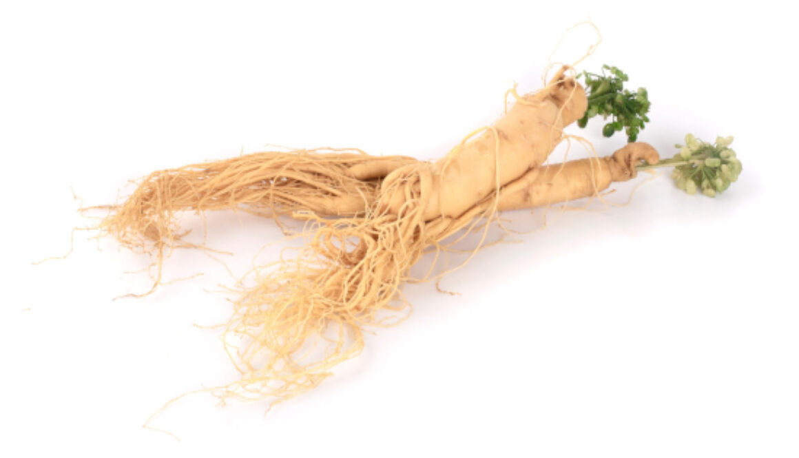 Ginseng-Provides_Natural_Help_for_Health_Loss-GreenMedInfo