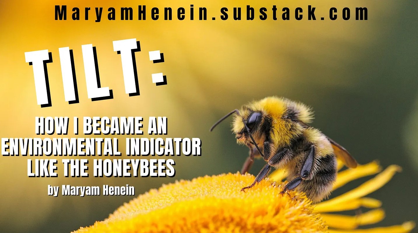 environmental indicator