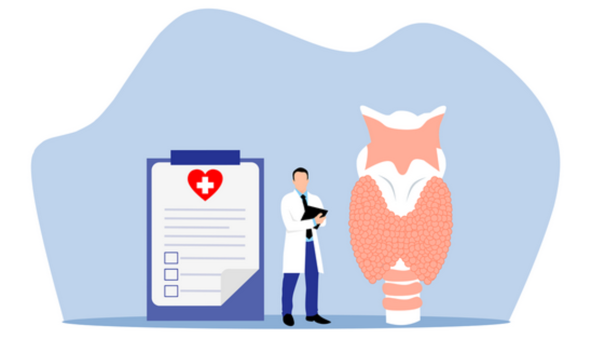 thyroid