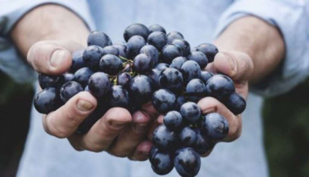 grapes eye health