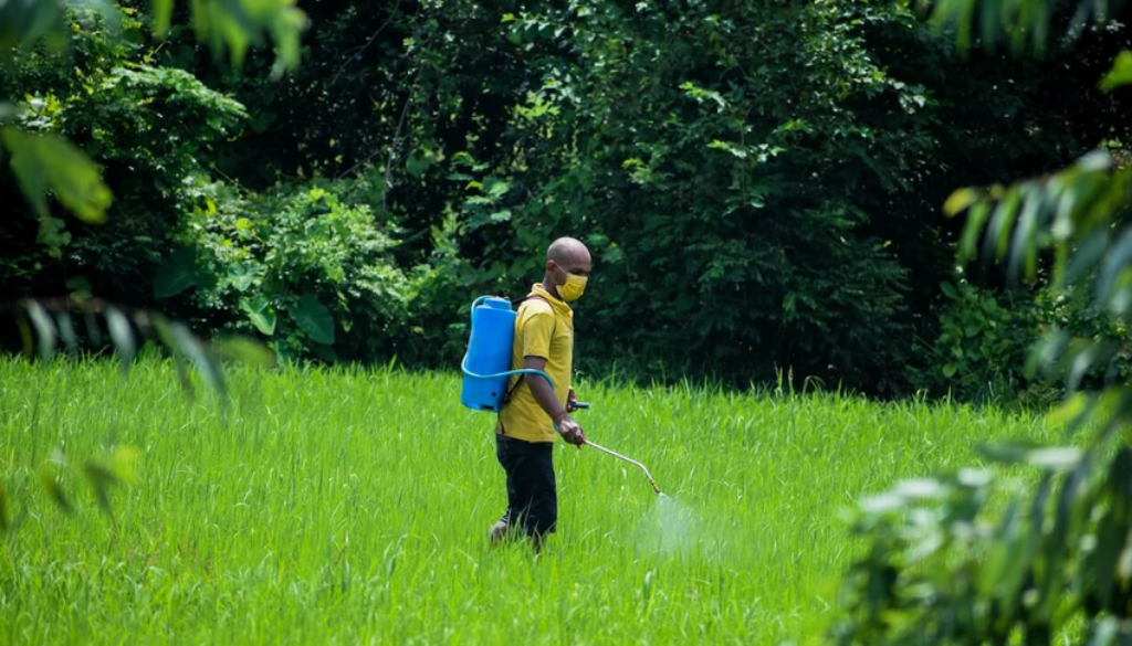 pesticides pexels