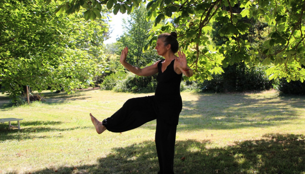 tai chi agin