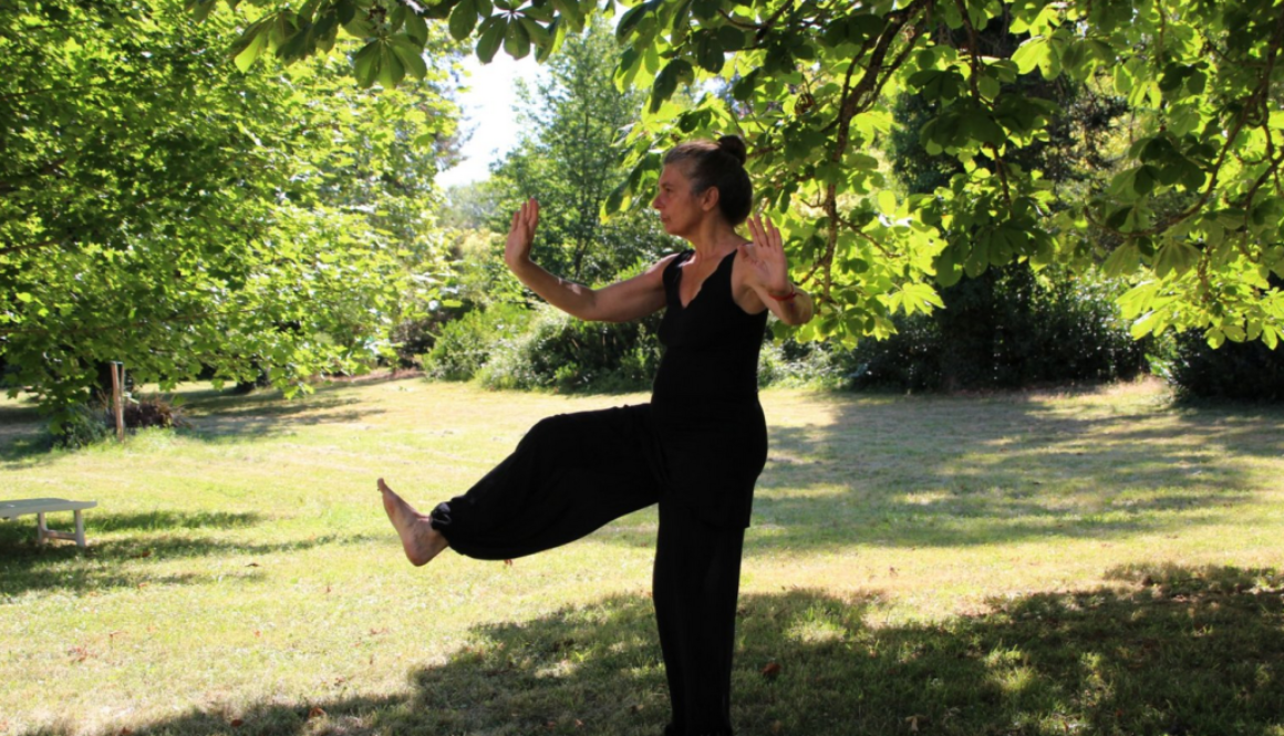 tai chi agin