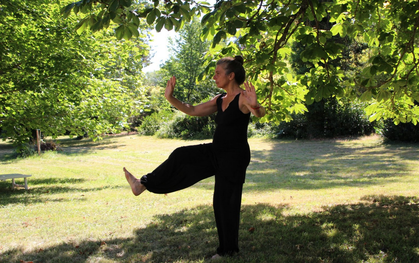 tai chi agin