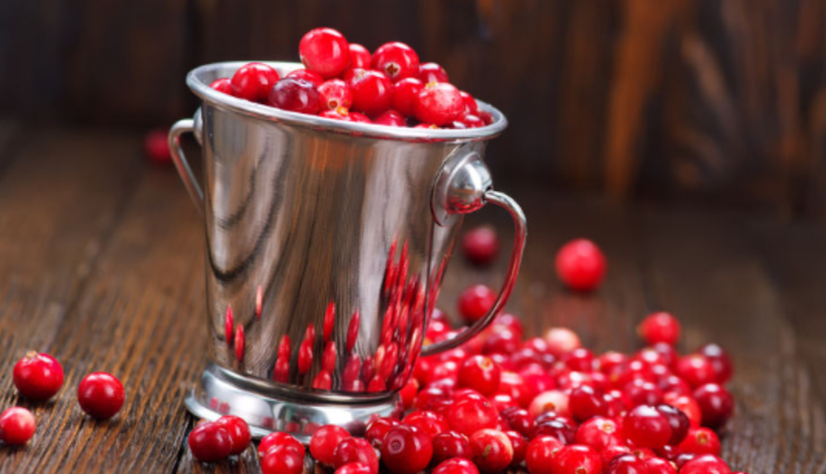cranberries gmi