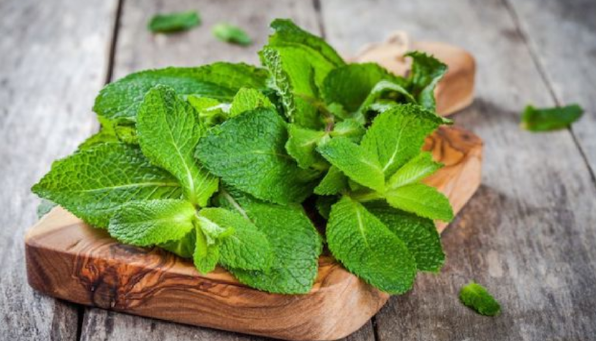 peppermint gmi