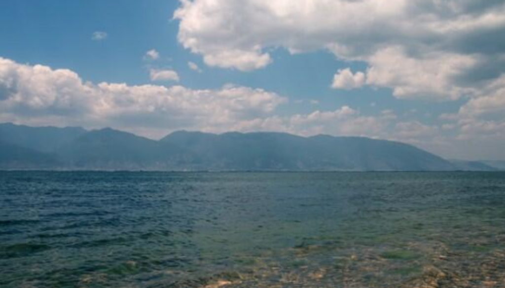 desal