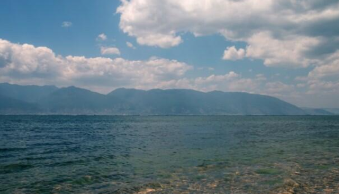 desal