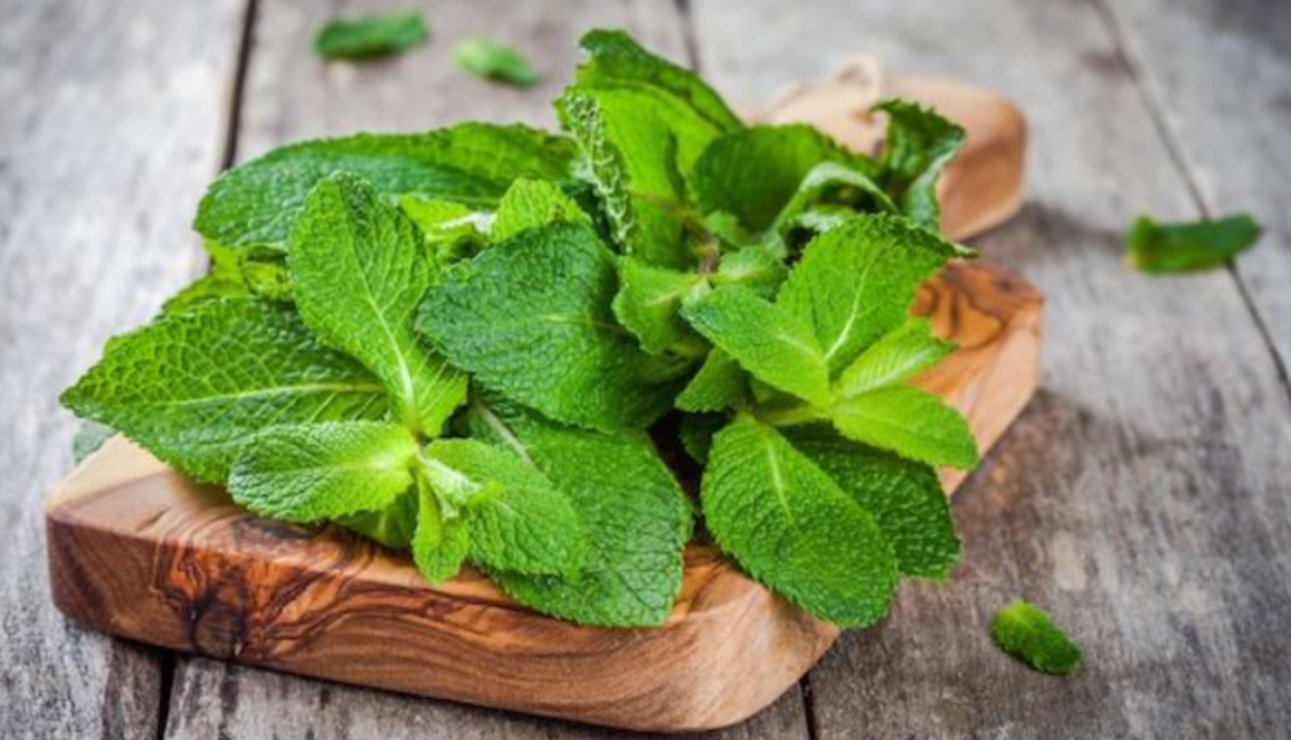 peppermint power gmi