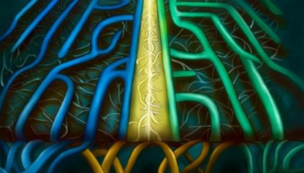 brain gut